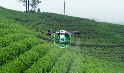 Agricoltura